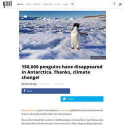 150,000 penguins have disappeared in Antarctica. Thanks, climate change!