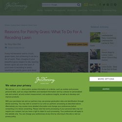 My Grass Is Disappearing – Learn About Thinning Lawn Repair In Landscapes