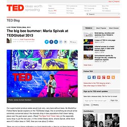 Why bees are disappearing: Marla Spivak at TEDGlobal 2013