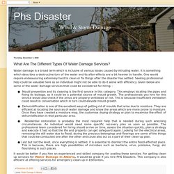 Phs Disaster: What Are The Different Types Of Water Damage Services?