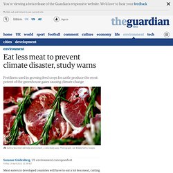 Eat less meat to prevent climate disaster, study warns
