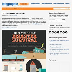 DIY Disaster Survival