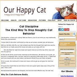 Cat Discipline - How Do You Stop Your Cat's Bad Behavior?