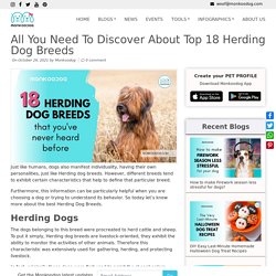 All You Need to Discover About Top 18 Herding Dog Breeds