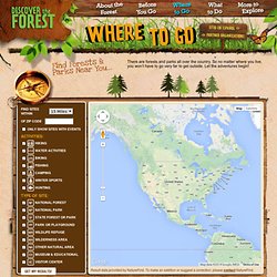 Discover The Forest