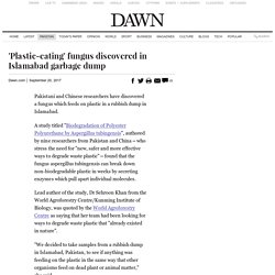 'Plastic-eating' fungus discovered in Islamabad garbage dump - Pakistan - DAWN.COM