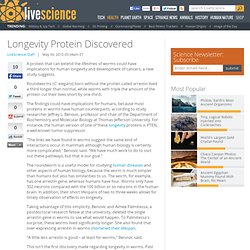 Longevity Protein Discovered