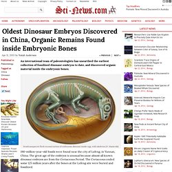 Oldest Dinosaur Embryos Discovered in China, Organic Remains Found inside Embryonic Bones