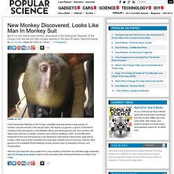 New Monkey Discovered, Looks Like Man in Monkey Suit