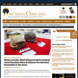 Homo erectus Skull Discovered in Central Java Provides More Evidence for Ancient Hominids in the Area