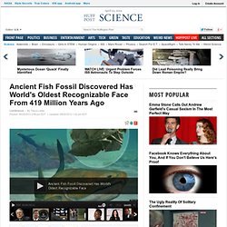 Ancient Fish Fossil Discovered Has World's Oldest Recognizable Face From 419 Million Years Ago