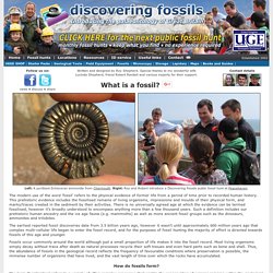 What is a fossil? How do fossils form?