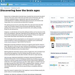 Discovering how the brain ages