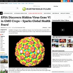 EFSA Discovers Hidden Virus Gene VI in GMO Crops - Sparks Global Health Scare!