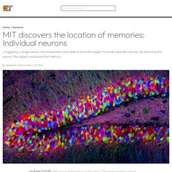 MIT discovers the location of memories: Individual neurons