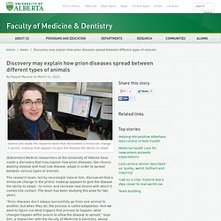 Discovery may explain how prion diseases spread between different types of animals - Faculty of Medicine & Dentistry - University of Alberta