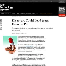 Discovery Could Lead to an Exercise Pill