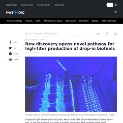 New discovery opens novel pathway for high-titer production of drop-in biofuels