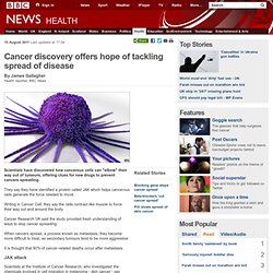 Cancer discovery offers hope of tackling spread of disease