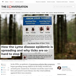 THE CONVERSATION 13/05/20 How the Lyme disease epidemic is spreading and why ticks are so hard to stop