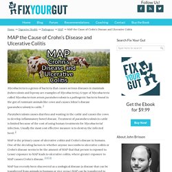 MAP the Cause of Crohn's Disease and Ulcerative Colitis