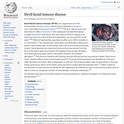 Devil facial tumour disease