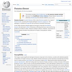 WIKIPEDIA - Panama disease.