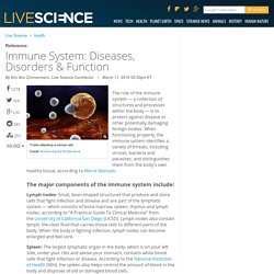 Immune System: Diseases, Disorders &amp; Function