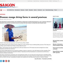 AQUACULTURE DIRECTORY 09/07/13 Diseases ravage shrimp farms in several provinces