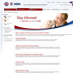 Common Dog Diseases: Signs, Symptoms & Treatments