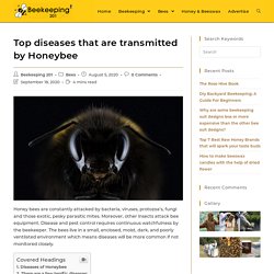 Top Diseases that are Transmitted by Honeybee