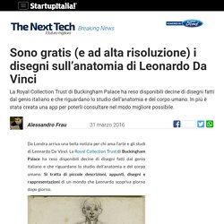 Sono gratis i disegni sull'anatomia di Leonardo Da Vinci