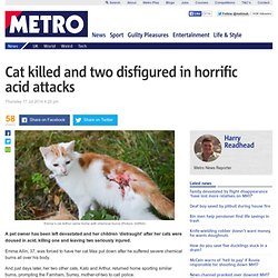 Cat killed and two disfigured in horrific acid attacks in Farnham, Surrey