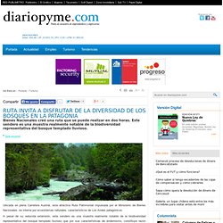 Diario PYME - Ruta invita a disfrutar de la diversidad de los bosques en La Patagonia