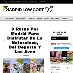 9 rutas por Madrid para disfrutar de la Naturaleza, del deporte y las aves