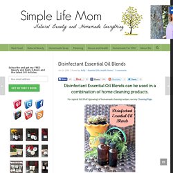 Disinfectant Essential Oil Blends - Simple Life MomSimple Life Mom