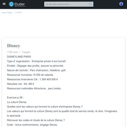 Disney - Rapports de Stage - 1122 Mots