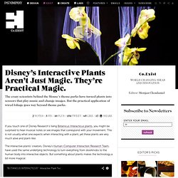 Disney’s Interactive Plants Aren’t Just Magic. They’re Practical Magic.