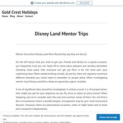 Disney Land Mentor Trips