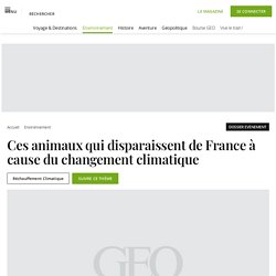 Ces animaux qui disparaissent de France à cause du changement climatique...