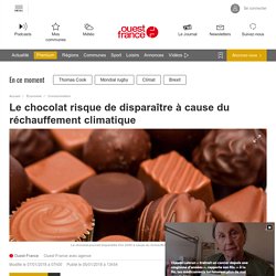 Le chocolat risque de disparaître à cause du réchauffement climatique