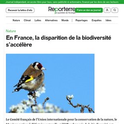 REPORTERRE 04/03/21 En France, la disparition de la biodiversité s’accélère