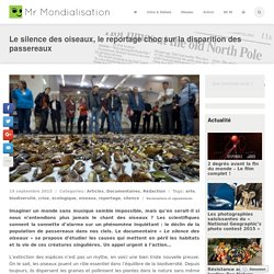 Le silence des oiseaux, le reportage choc sur la disparition des passereaux