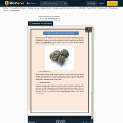 What to Look for When You Visit a Cannabis Dispensary PowerPoint Presentation - ID:10970466