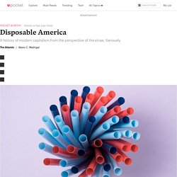 Disposable America