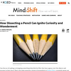 How Dissecting a Pencil Can Ignite Curiosity and Wonderment