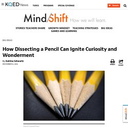 How Dissecting a Pencil Can Ignite Curiosity and Wonderment