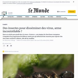 LE MONDE 04/10/18 Des insectes pour disséminer des virus, arme incontrôlable ?