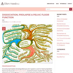 Dissociation, Prolapse & Pelvic Floor Function – Ellen Heed