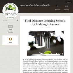 Find Distance Learning Schools for Iridology Courses - newedenschoolofnaturalhealth